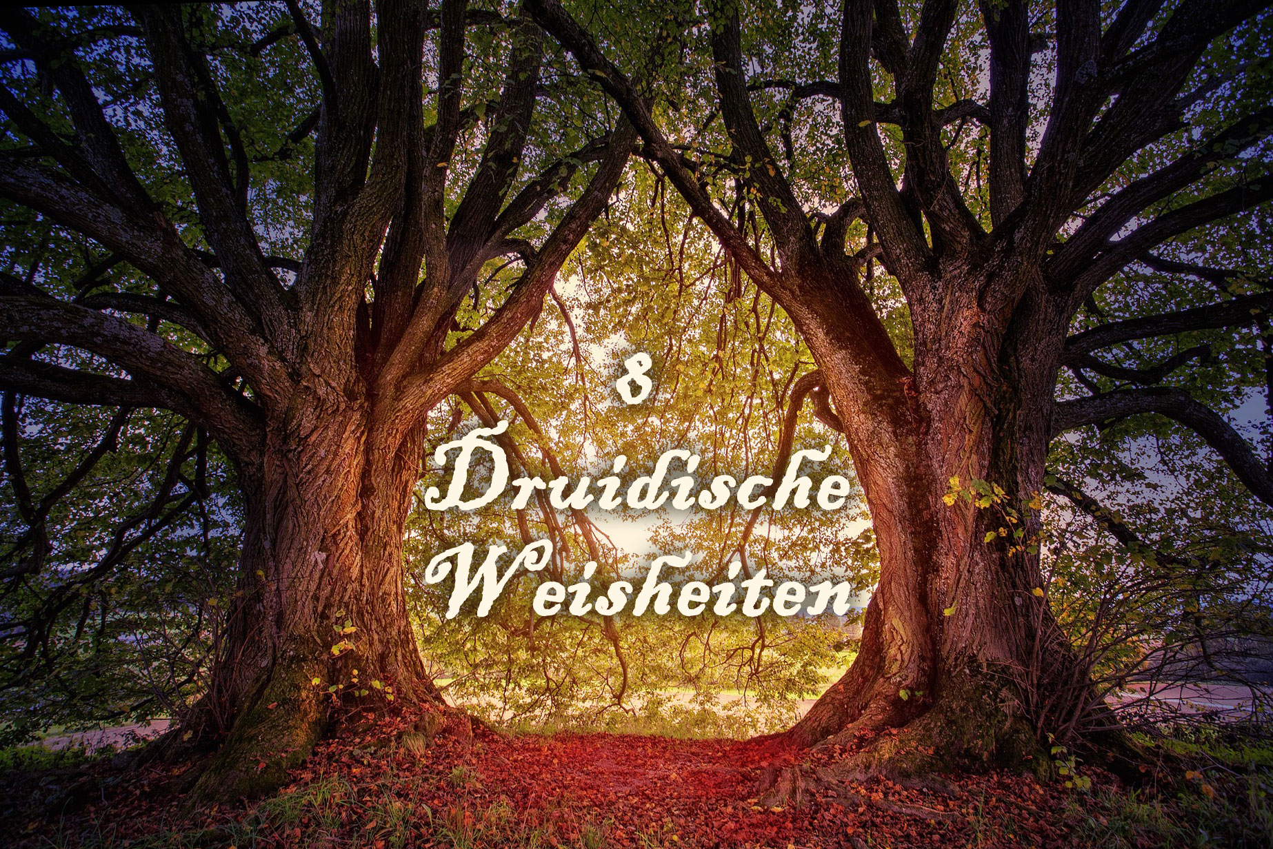 Druidische Weisheiten