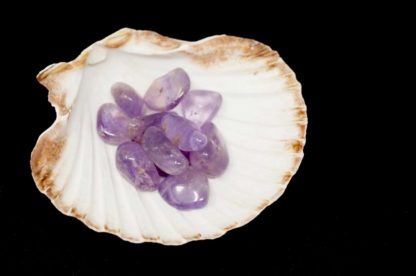 Amethyst im Druidenladen