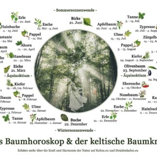 Der Baumkreis als Poster