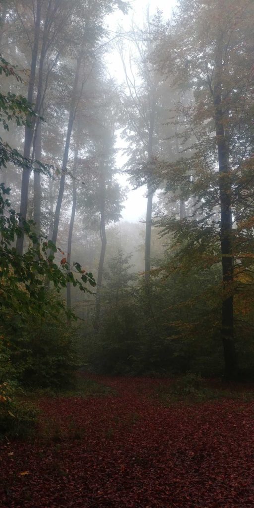 Samhain in der Schweiz