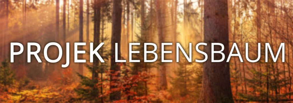 Banner Projekt Lebensbaum