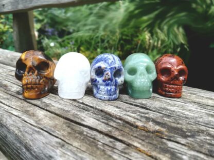 Skull-Set 5 teilig