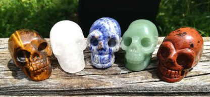 Skull Familie