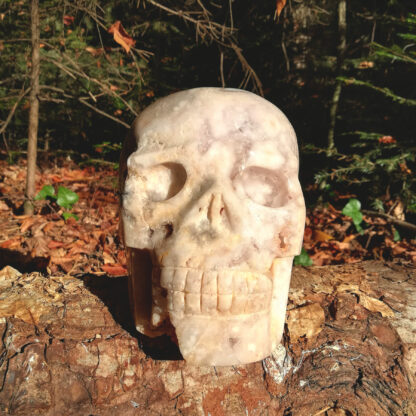 Skull Samhain 2022